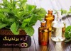 به راحتی از خانه داری به تولید سرمایه رسیدم